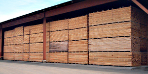 Bells Valley Dry Kiln Facility