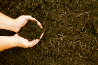 Mulch
